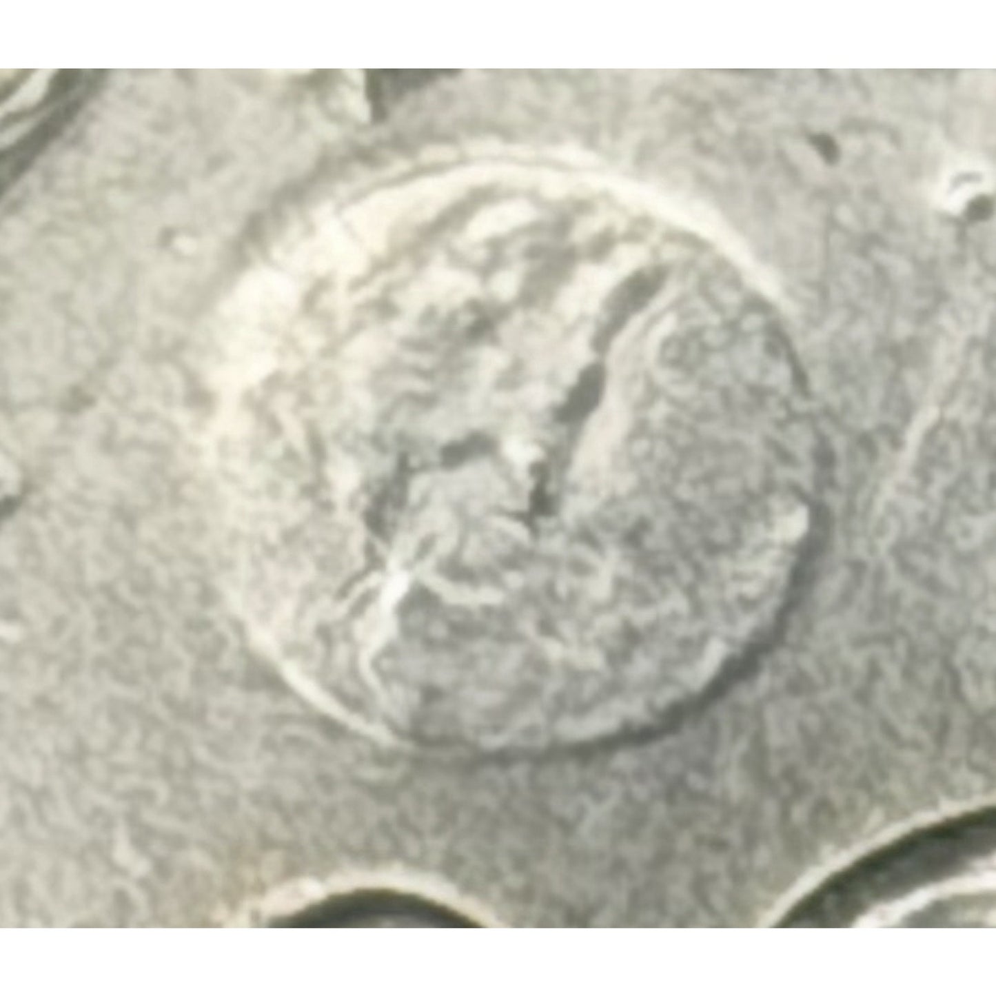 1972 Eisenhower Dollar Type 2 Reverse close variety detail