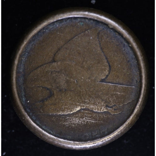 1857 Flying Eagle Cent Altered Button Coin Visible Date