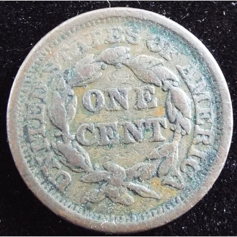 1856 Braided Hair Large Cent reverse early U.S. copper coin