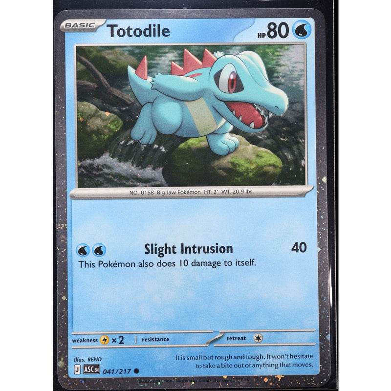 Pokemon Chikorita Tepig Totodile Ascended Heroes Cosmos Holo Set