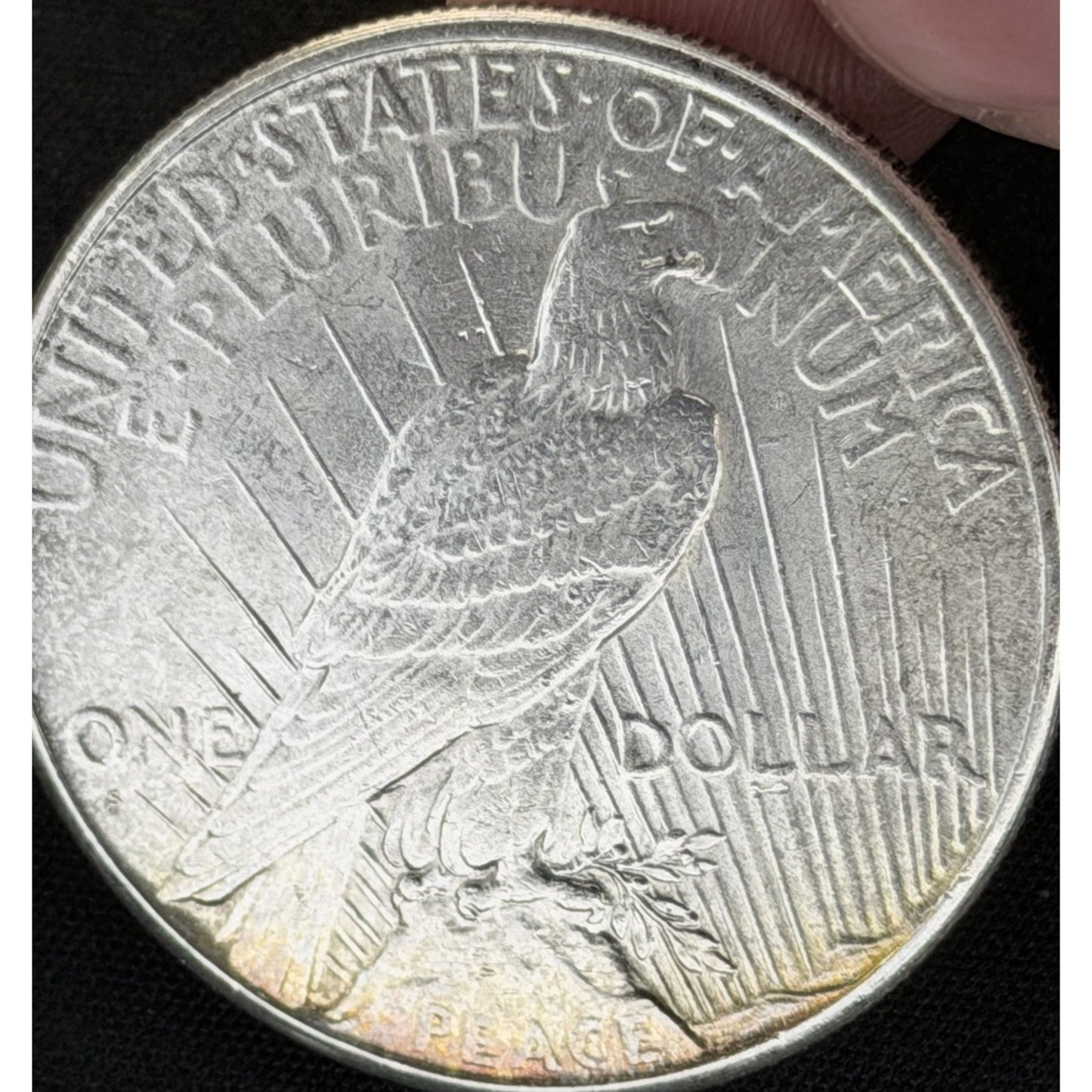 1926 S Peace Dollar reverse close view natural toning