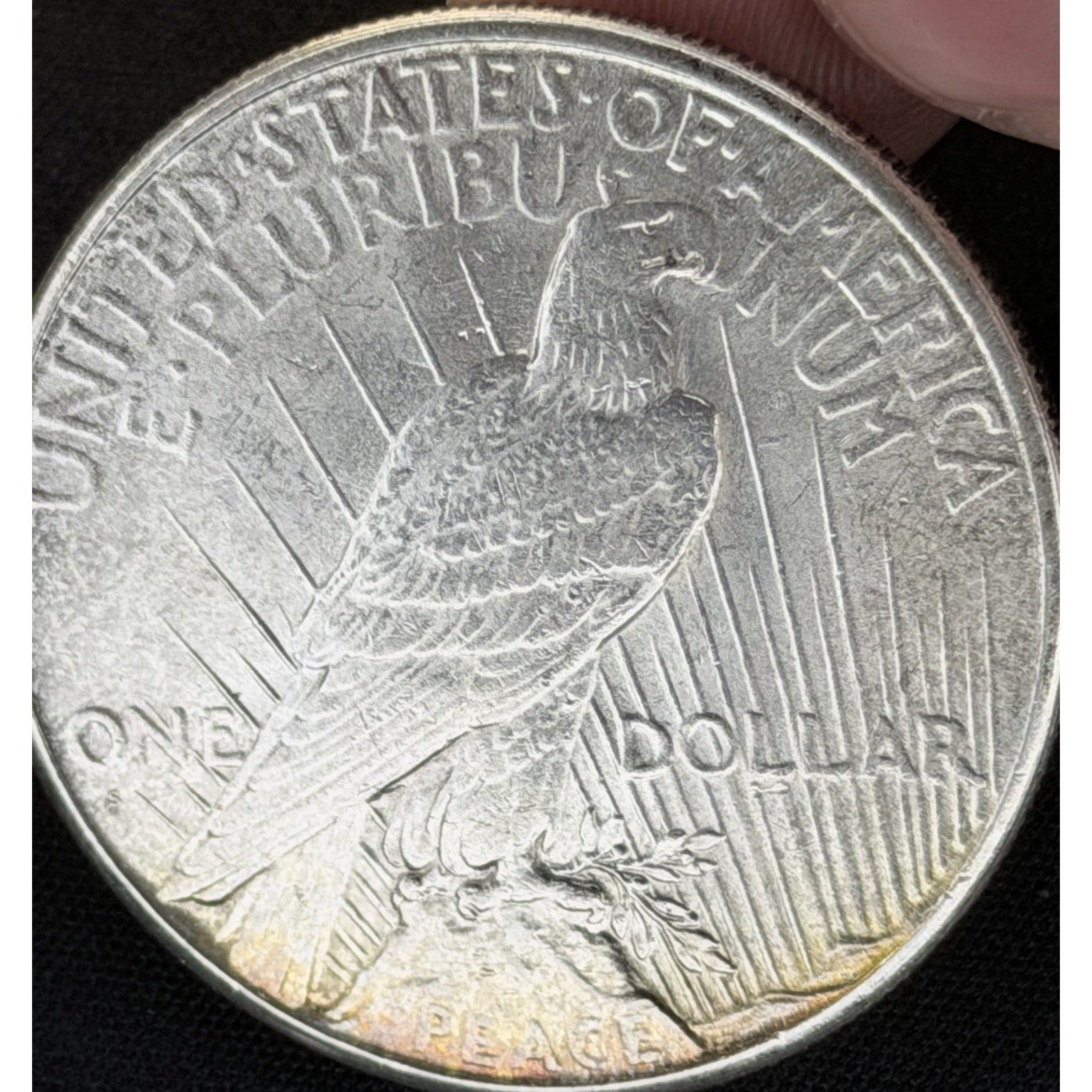 1926 S Peace Dollar reverse close view natural toning