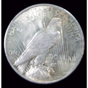 1924 Peace Silver Dollar $1 Reverse