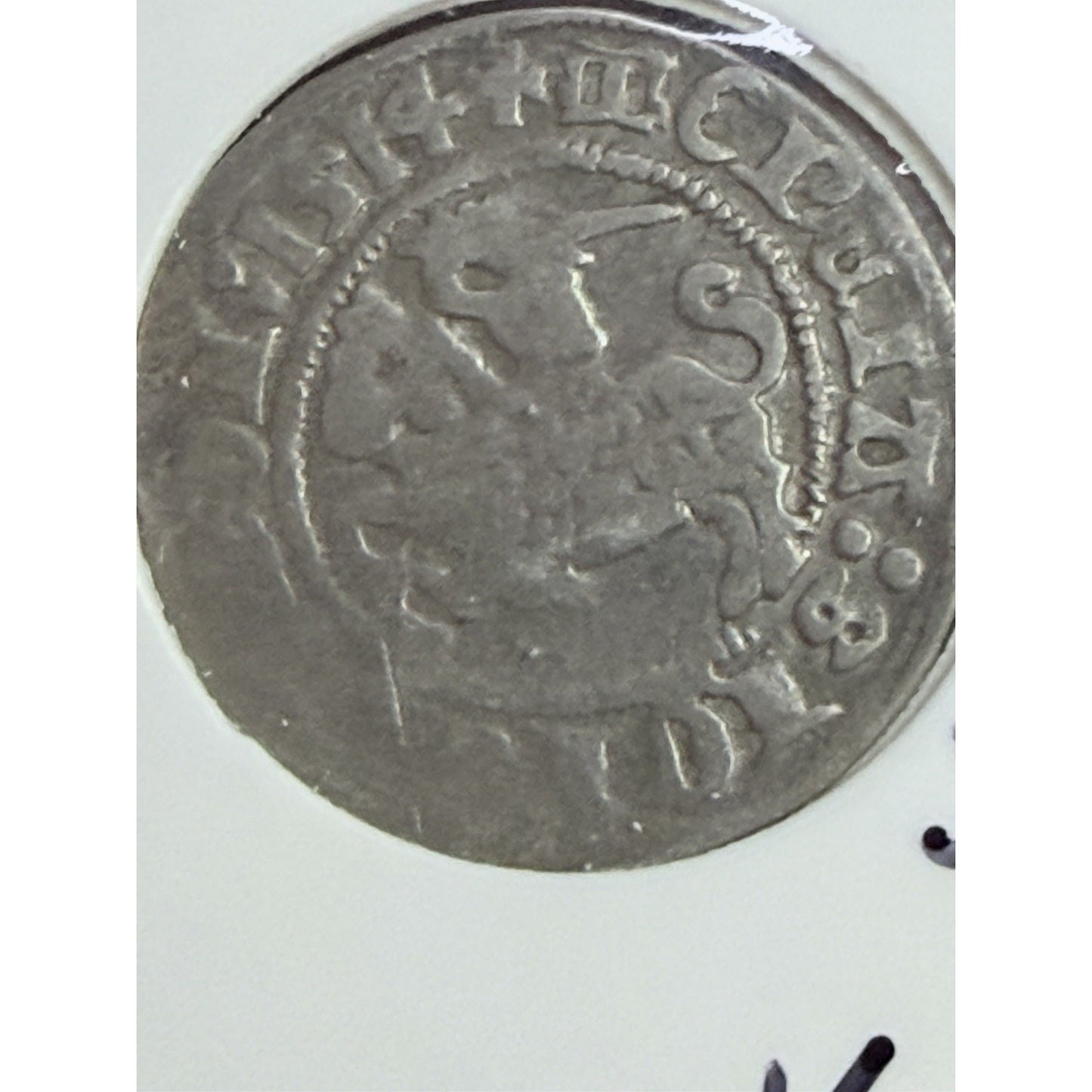 1514 Sigismund I Silver Half Groat close detail medieval coin