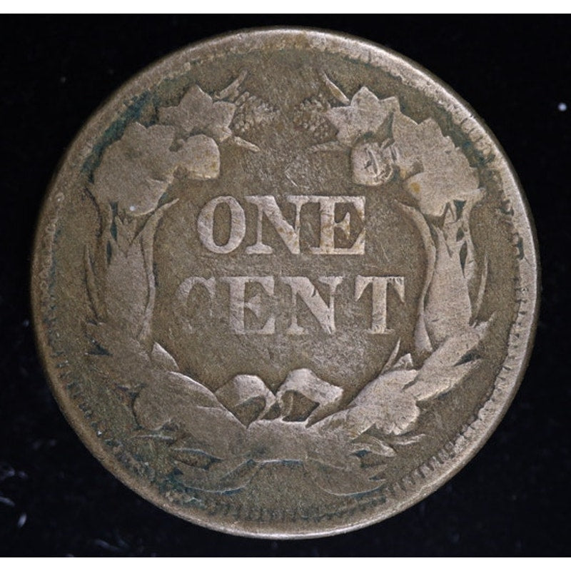 1858 Flying Eagle Cent Large Letters G Details