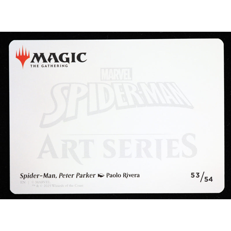 White identification back of Spider-Man Peter Parker Art Card 53/54 by Paolo Rivera, exact item shown.